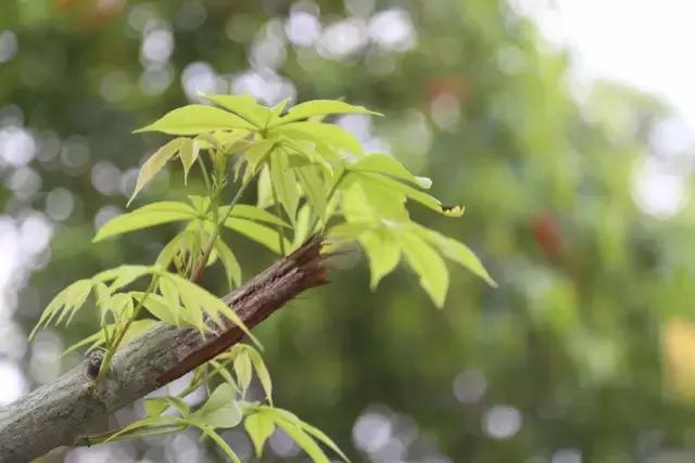 若不是终点，请一直微笑向前！