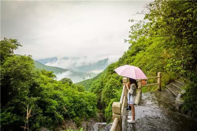 夏日观音山 观山赏水好清凉