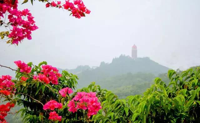 夏日观音山 观山赏水好清凉