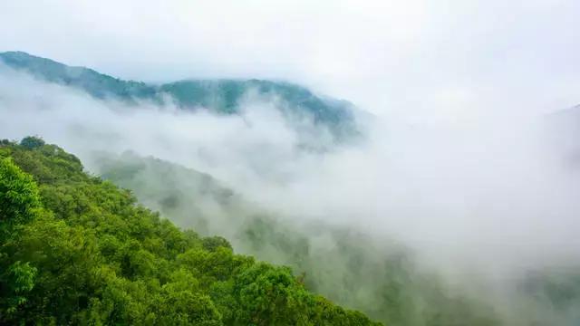 夏日观音山 观山赏水好清凉