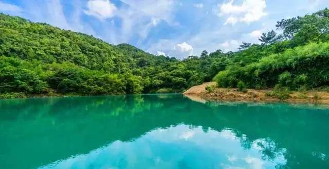 7月避暑，在绿色“海洋”里独享夏日清凉