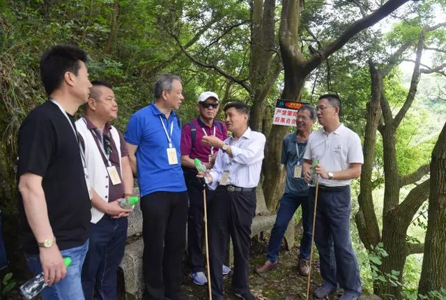 叶辛：愿东莞观音山簇拥在诱人鲜花丛中