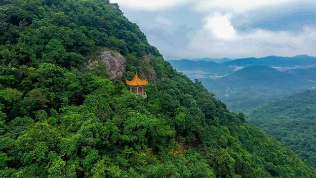 公告：第七届观音山杯美丽中国游记征文评选揭晓