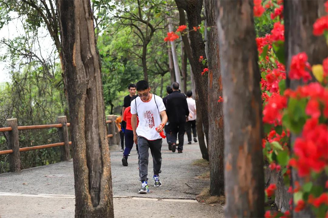 春游东莞观音山，踏青赏花许愿，好运连连