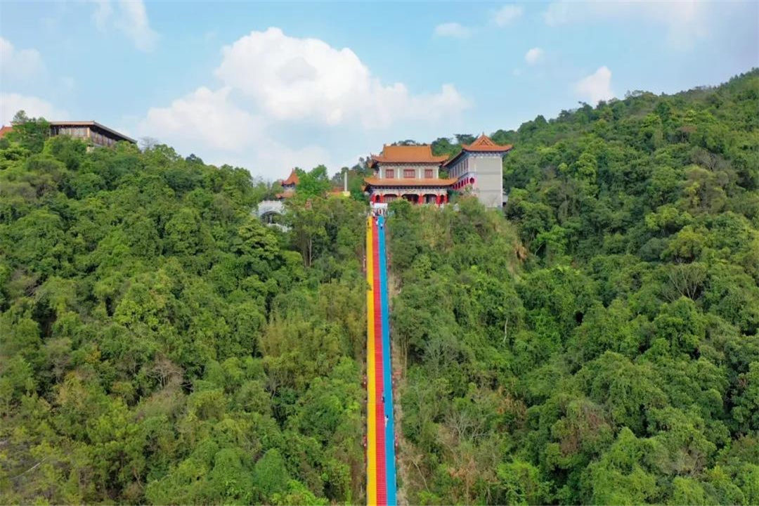 赏花许愿好去处，清明节来东莞观音山，不见不散