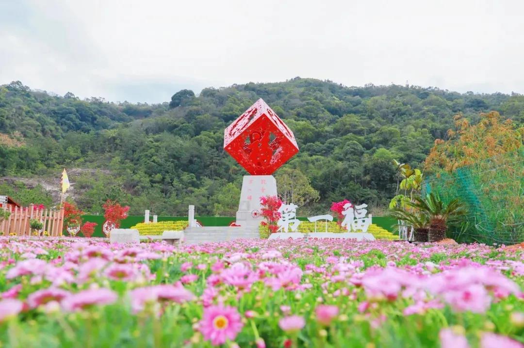 赏花许愿好去处，清明节来东莞观音山，不见不散