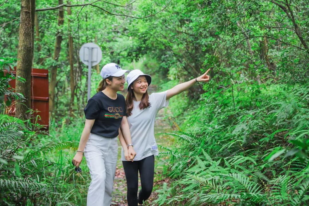 赏花许愿好去处，清明节来东莞观音山，不见不散