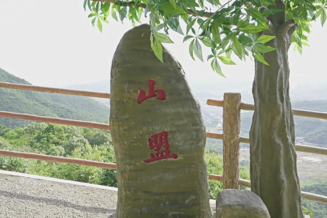 观音山上观奇石，听石头“讲”故事，“石”分精彩