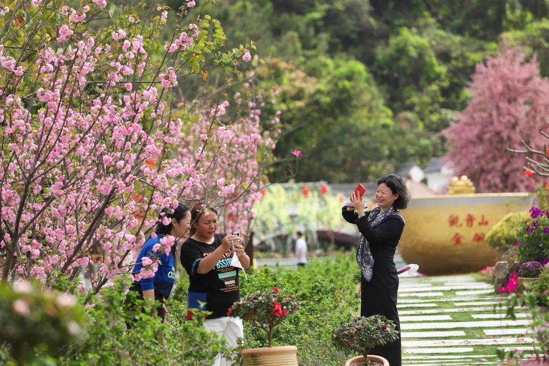 清明不远游，观音山这个踏青宝地，让您嗨玩3天不重样