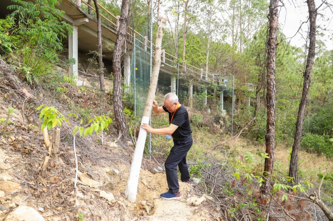 “品鉴岭南”中国著名作家采风团，雅聚观音山，共筑文化艺术林