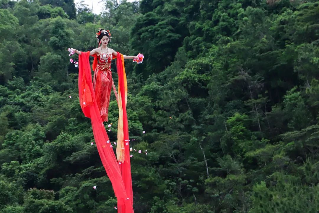 廣東觀音山國家森林公園>旅遊資訊>景區公告>翩翩乘風起,宛若仙子下