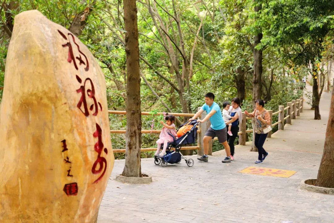 父亲节丨“爸”气出游观音山，用一场旅行感恩伟大父爱