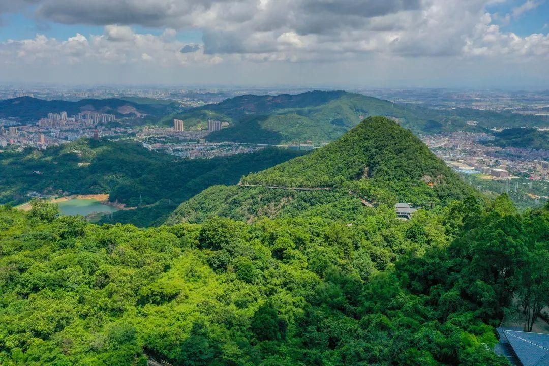 东莞观音山有哪些景点图片