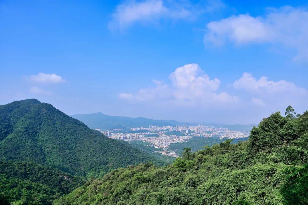 镇江观音山图片