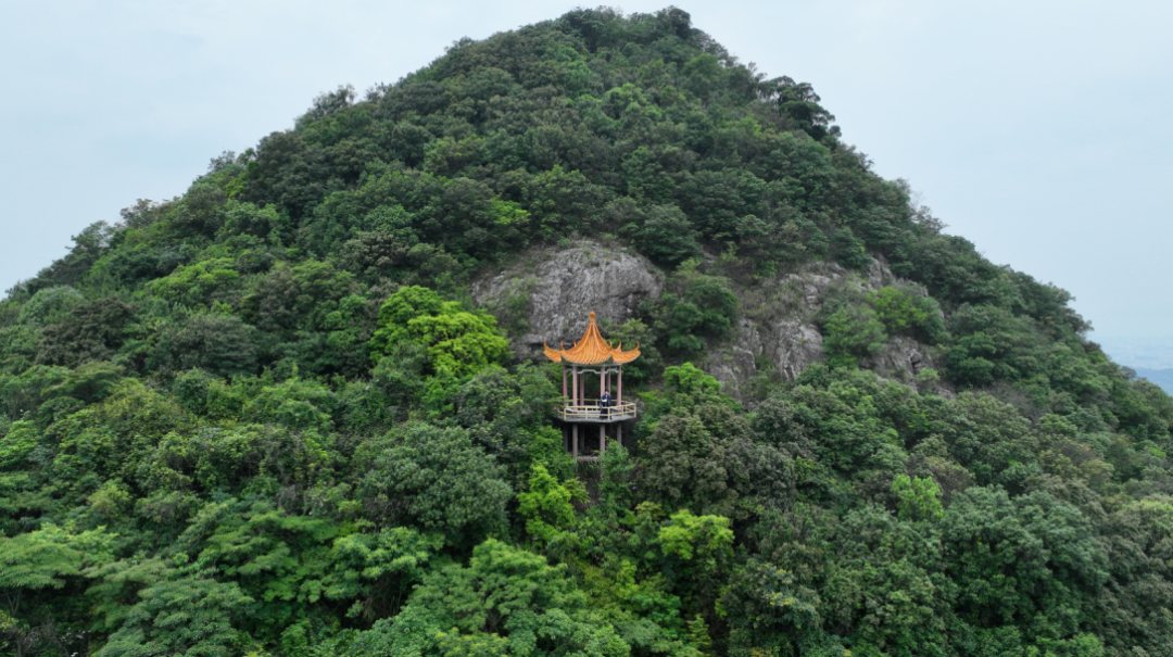 惠阳观音山图片